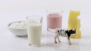 967508632-cottage-cheese-calcium-rich-berry-yoghurt-emmental-cheese